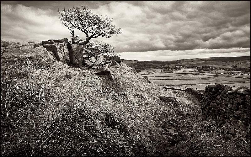 View from Eastby Crag - Yorkshire Dales.jpg - Open - 01 - 28.1.13